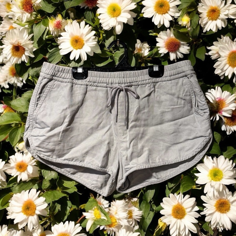 Community Aritzia Grey Linen Shorts with Drawstring Waist